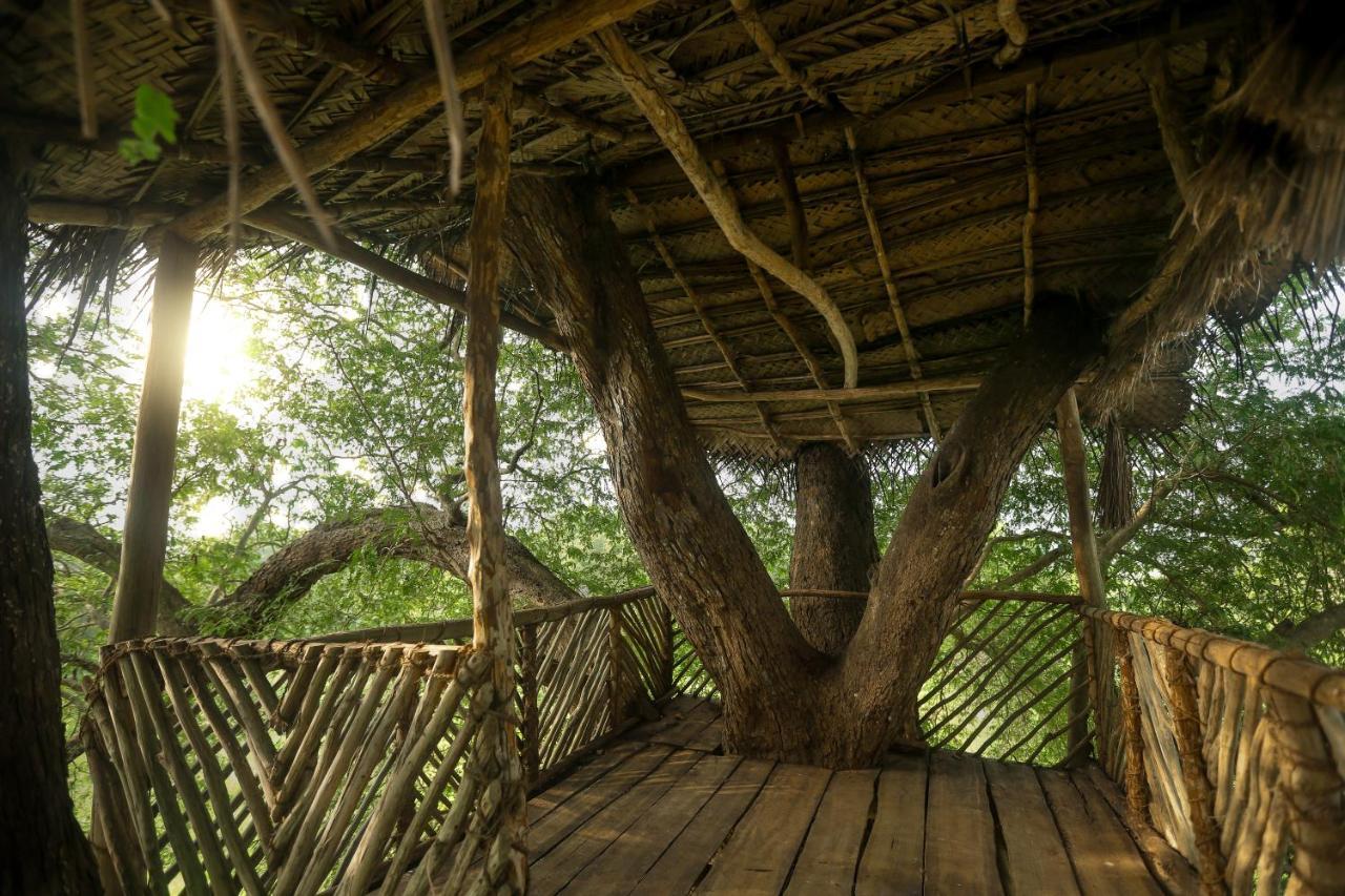 Subaseth Villa Anuradhápura Exteriér fotografie